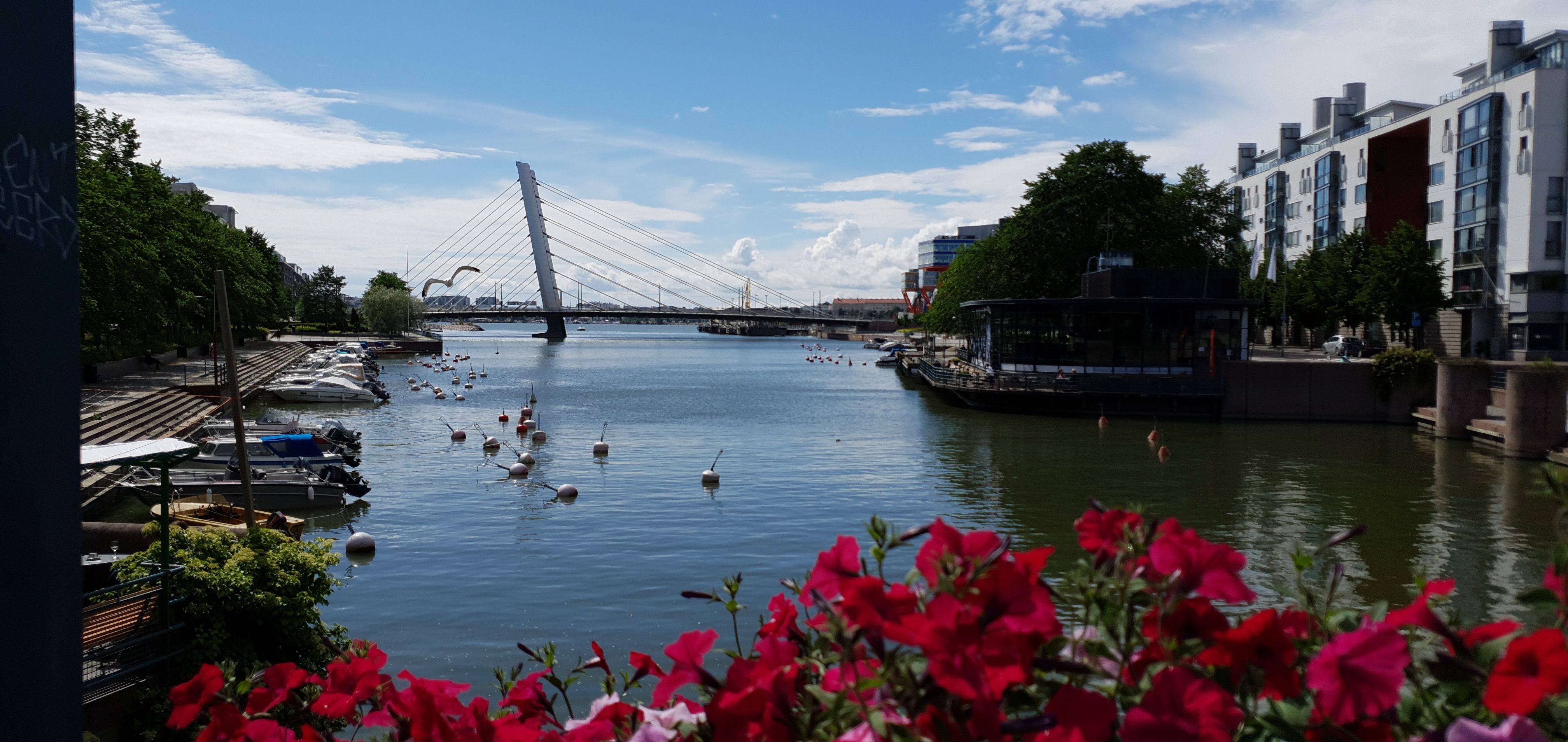 View of Ruoholahti